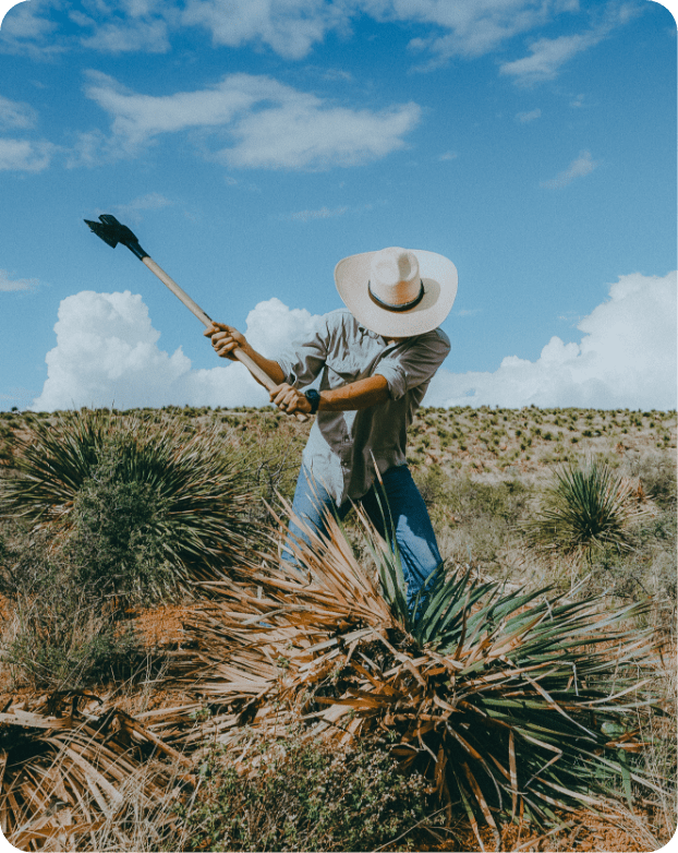 Los Magos Sotol — This is not agave
