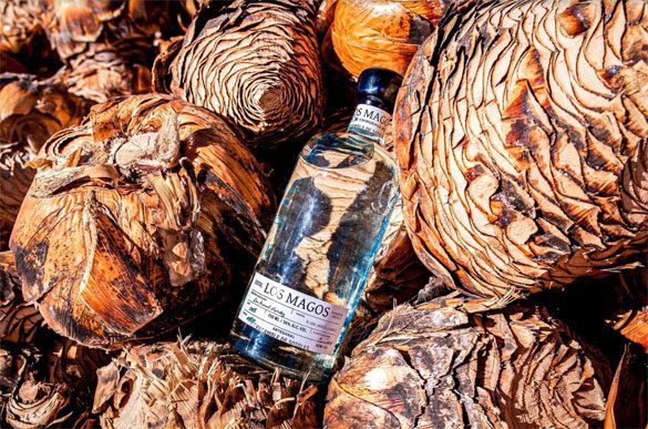 A bottle of Los Magos Sotol Blanco resting among roasted sotol hearts