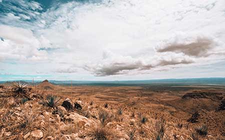 Wild sotol across the hills of the Chihuahuan Desert under a wide cloudy sky