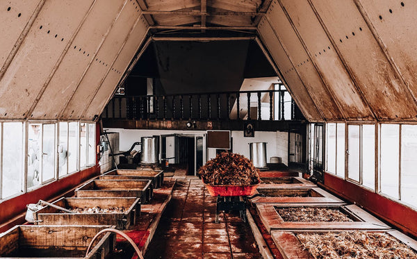 Open-air pine fermentation vats at the Los Magos sotol distillery in Chihuahua