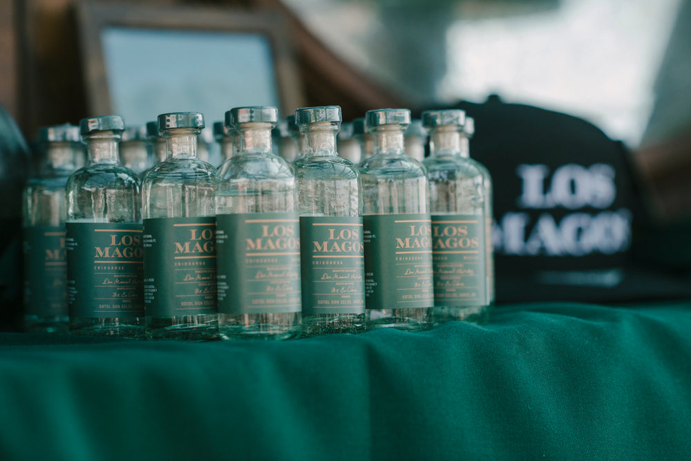 Los Magos Sotol Blanco 50ML 12 Pack