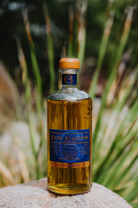 A bottle of Los Magos 6 Year Reserva Sotol standing on a stone surface with a blurred natural background of green and tan foliage.