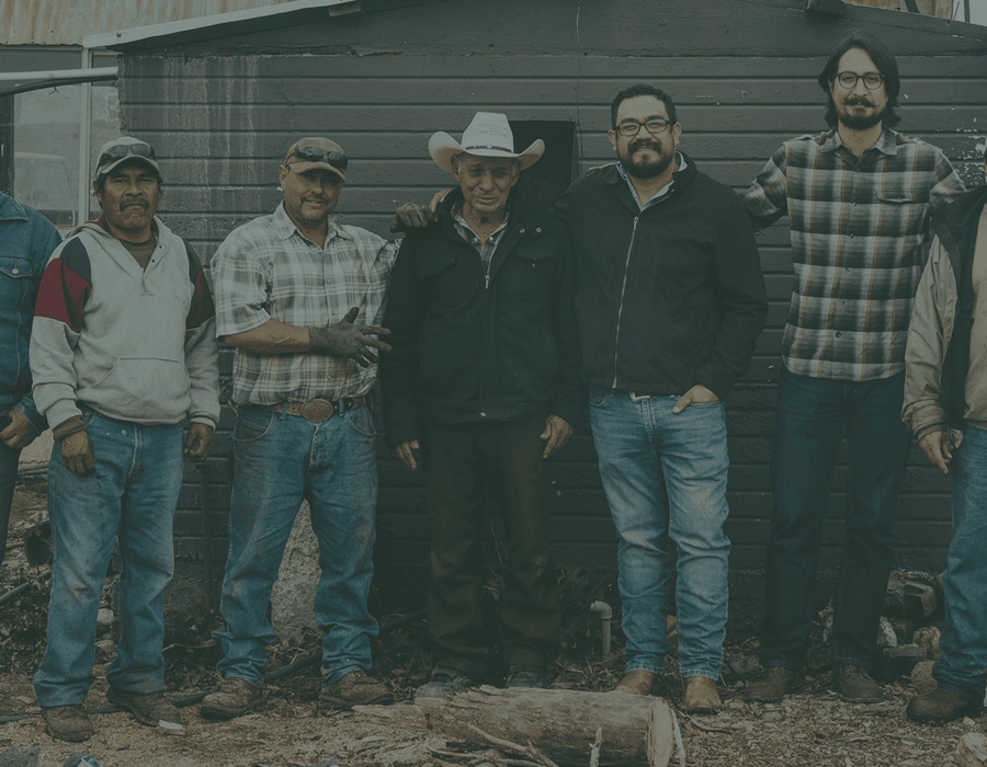 THE LOS MAGOS FOUNDATION